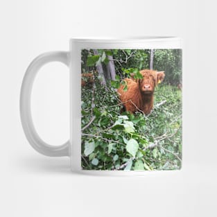 Scottish Highland Cattle Calf 2043 Mug